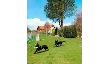 Kundenbild groß 2 Hundeschule Vademecum Canis Gabriele Prenzel Erziehungsberaterin u. Reichel Günther