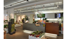 Kundenbild groß 3 Blumen Speth GmbH