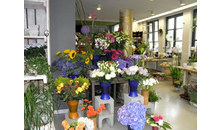 Kundenbild groß 2 Blumen Palansky