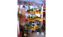 Kundenbild groß 8 Bayerl Floristik Blumen