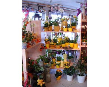 Kundenfoto 8 Bayerl Floristik Blumen