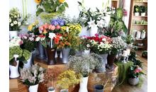 Kundenbild groß 9 Blumen Völkl Katharina