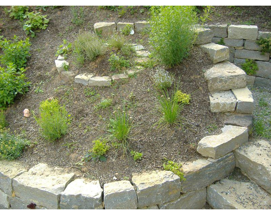 Kundenfoto 1 Naturnahe Gartengestaltung Ralf Kretzer-Felske