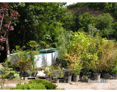 Kundenfoto 2 Radke Thomas Garten- u. Landschaftsbau