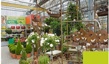 Kundenbild groß 7 Dauchenbeck Gartenwelt Gartencenter