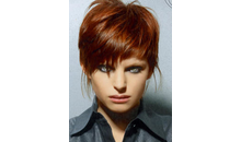 Kundenbild groß 1 Friseur Hairstudio Rita