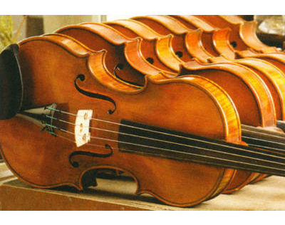 Kundenfoto 1 Strohmer Max Gitarren- u. Geigenbau