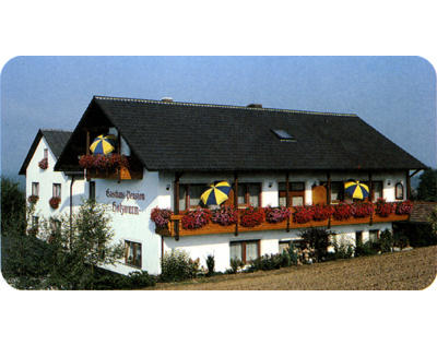 Kundenfoto 4 Gasthof Holzwurm Inh. Familie Weiherer Landhotel