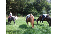 Kundenbild groß 10 Reitschule Wohlfahrt