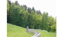 Kundenbild groß 1 Sommerrodelbahn Fröschbrunn