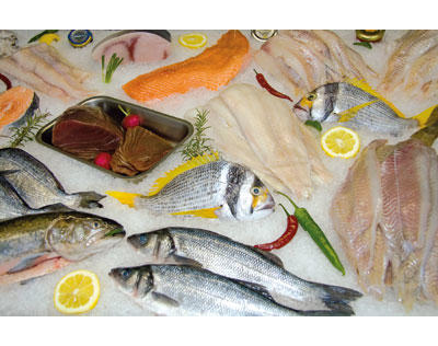 Kundenfoto 1 Fangfisch Bouda Udo Fangfisch