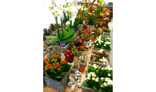 Kundenbild groß 3 Blumen und Schönes Naturnah