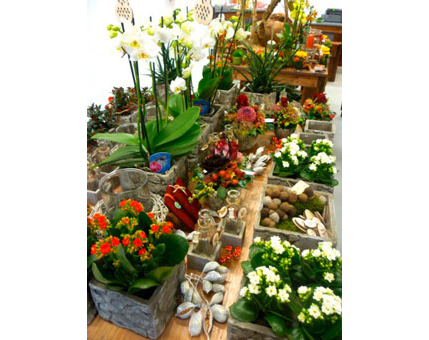 Kundenfoto 3 Blumen NATURNAH