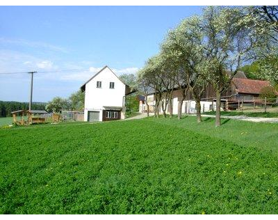 Kundenfoto 5 Gasthaus Steinerne Hochzeit