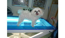 Kundenbild groß 3 Knoll Bärbel