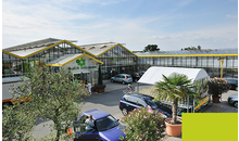 Kundenbild groß 9 Dauchenbeck Gartenwelt Gartencenter