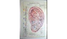 Kundenbild groß 8 Tauber-Bachmann Cornelia Dr. Arztpraxis