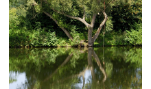 Kundenbild groß 1 Freibad