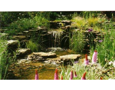 Kundenfoto 5 Garten- u. Landschaftsbau Stahl