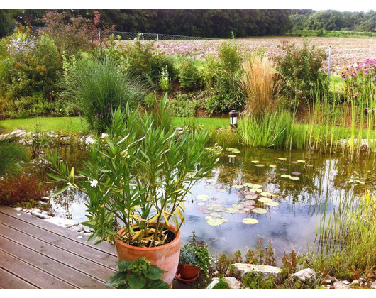 Kundenfoto 3 Naturnahe Gartengestaltung Ralf Kretzer-Felske