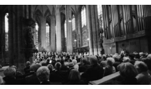 Kundenbild groß 1 Internationale Orgelwoche Nürnberg