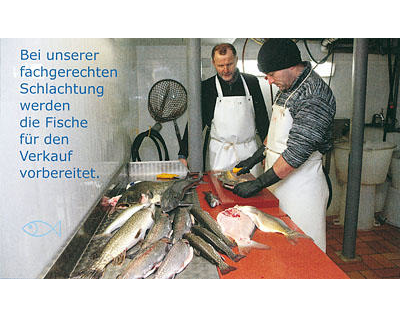 Kundenfoto 5 Krappmann Alexander Fischzucht