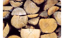 Kundenbild groß 3 Kunkel Michael