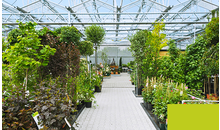Kundenbild groß 2 Dauchenbeck Gartenwelt Gartencenter