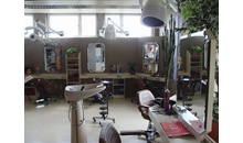 Kundenbild groß 3 Linz Michael Haarexperte