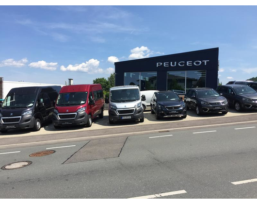 Kundenfoto 6 Peugeot Weberpals