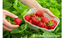Kundenbild groß 1 Erdbeeren Funck