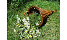 Kundenbild groß 5 Engelhardt Monika