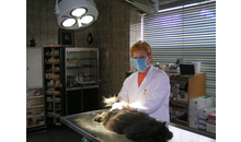 Kundenbild groß 5 Witt Dr. Tierarztpraxis