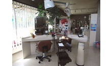 Kundenbild groß 4 Linz Michael Haarexperte