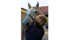 Kundenbild groß 5 Joswiak Sabine