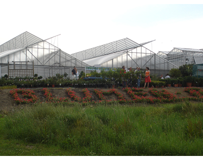 Kundenfoto 2 Gärtnerei Blumen Peschl GmbH