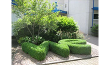 Kundenbild groß 1 FLORA Garten- und Landschaftsbau GmbH