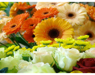 Kundenfoto 1 Lange Blumengeschäft und Gärtnerei