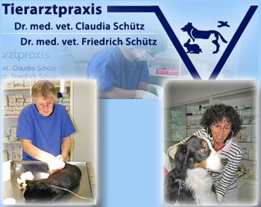 Kundenfoto 1 Schütz Lea Dr.med.vet. , De Nicola Alberto Dott. Kleintierpraxis