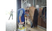 Kundenbild groß 8 Polzin Gerd Dr. Praktischer Tierarzt