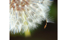 Kundenbild groß 1 Tepe