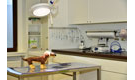 Kundenbild groß 10 Praxis für Kleintiermedizin Dr. med. vet. Birte Götte Tierarzt
