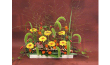Kundenbild groß 4 Blumen Schüller