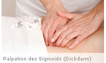 Kundenbild groß 4 Grüner Dorit Heilpraktikerin Shiatsu