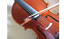 Kundenbild groß 2 Geigenbau Pöhling