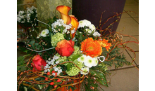 Kundenbild groß 6 Blumen Blüte & Stil