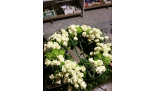 Kundenbild groß 2 Rinkenhof - Blumen Franken