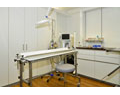 Kundenfoto 6 Praxis für Kleintiermedizin Dr. med. vet. Birte Götte Tierarzt