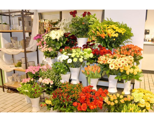 Kundenfoto 1 Blumen Aymans - KORNBLUME - Landhandel und Floristik