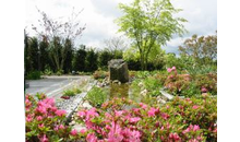 Kundenbild groß 1 Steegmann Garten- und Landschaftsbau